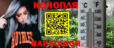 таблы Славгород