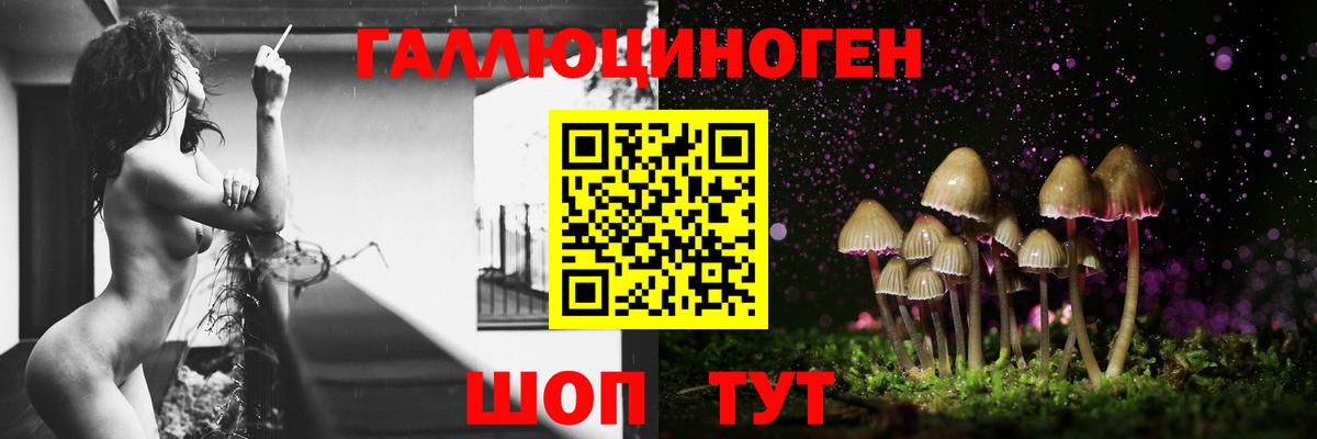 закладка  Галлюциногенные грибы мицелий  Псилоцибиновые грибы Cubensis  Вход с VPN  Отрадное 